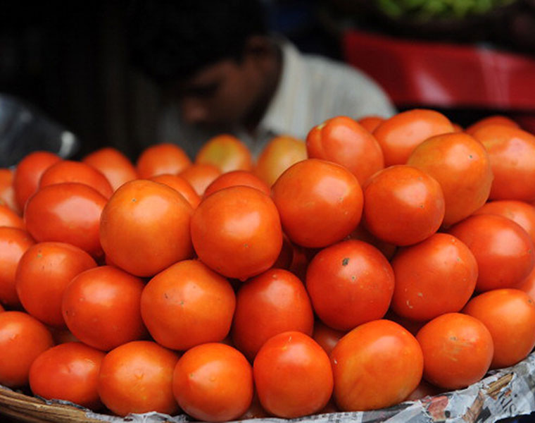 a poem on tomato that is beyond the reach of common man