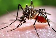 Vaccination against malarial infection soon?