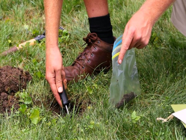 Soil testing can help us understand these factors ...