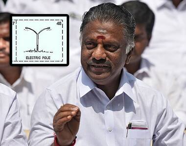 If not the two leaves, OPS happy with a symbol similar to it