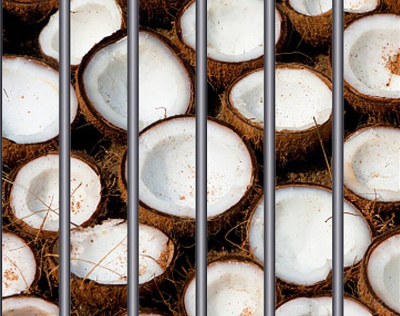 Jail authorities to HC: Will not allow coconuts in the prison