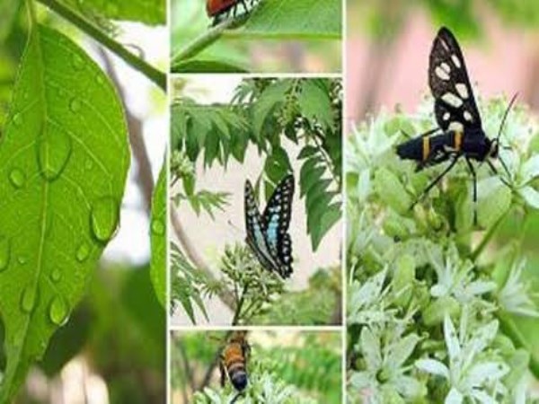 in these method you can protect insects which is doing good to farmers