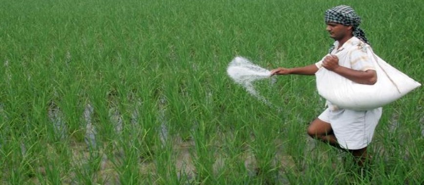 Fertiliser Price Hikes in Karnataka Effects on Farmers snr