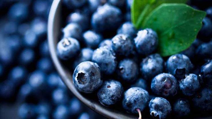 Abu Dhabi expands exportation of home-grown blueberries to India, Japan, Thailand anr