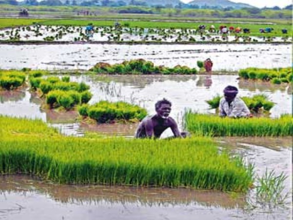 Planting crops can be preserved like this ...