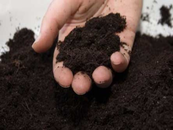 How to prepare and enrich compost fertilizer?