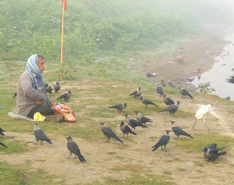 heart touching story of man who feed birds