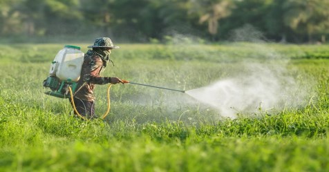 dos and donts when using pesticides