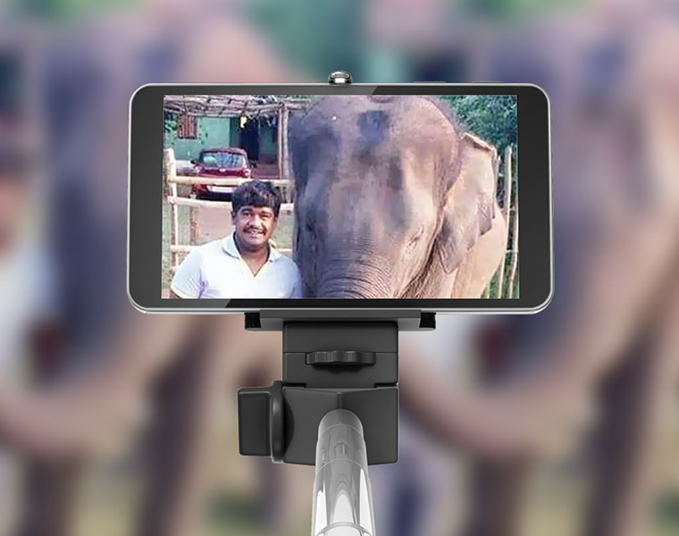 Selfie with elephant turns fatal for youth