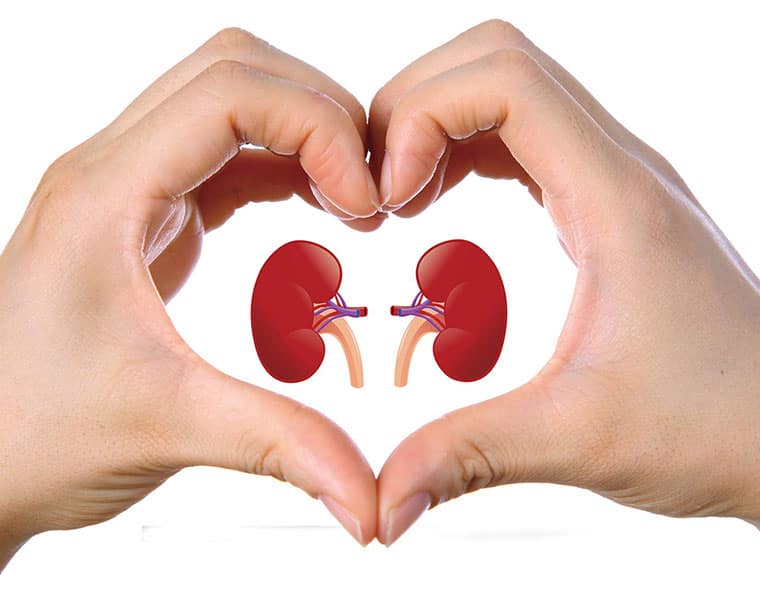 national Kidney Exchange Program between families launched in saudi 