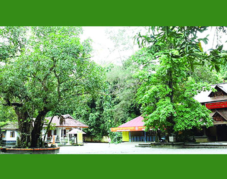 mannarasala temple