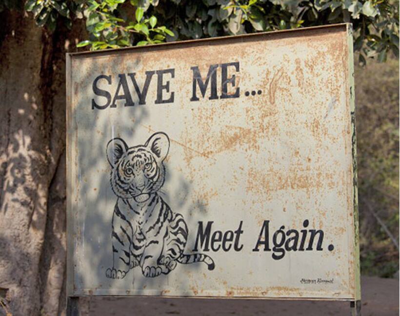 Man vs. Tiger: Will the eviction of forest dwellers help conservation?