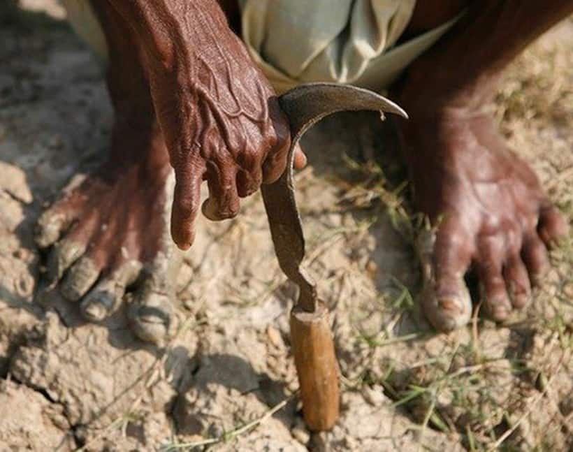 इस चीज़ की मदद से सिर्फ 1 रुपये में फसलों की सेहत जान सकेंगे किसान