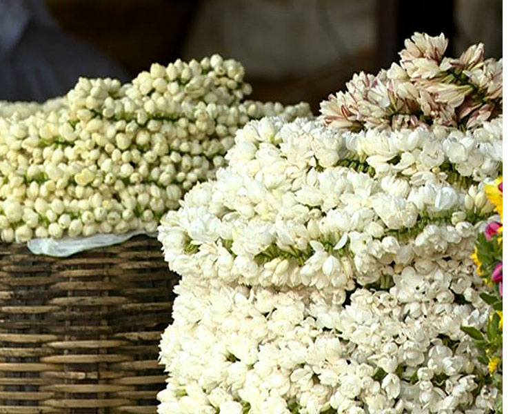 On the occasion of Ayudha Puja jasmine flower prices have increased manifold KAK