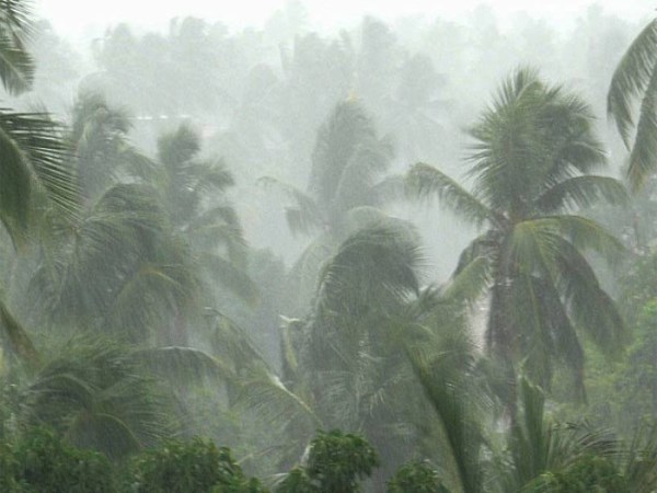 Heavy Rain Lashes In State Next 2 Days