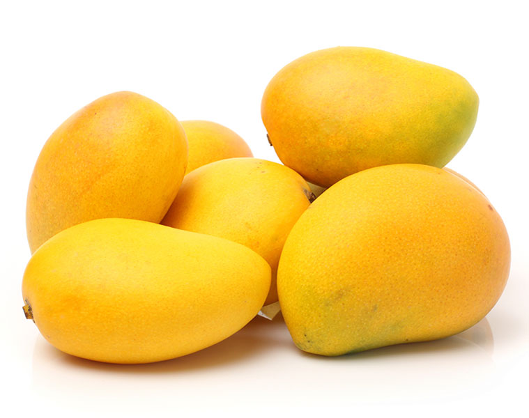 bountiful Dussehri mangoes