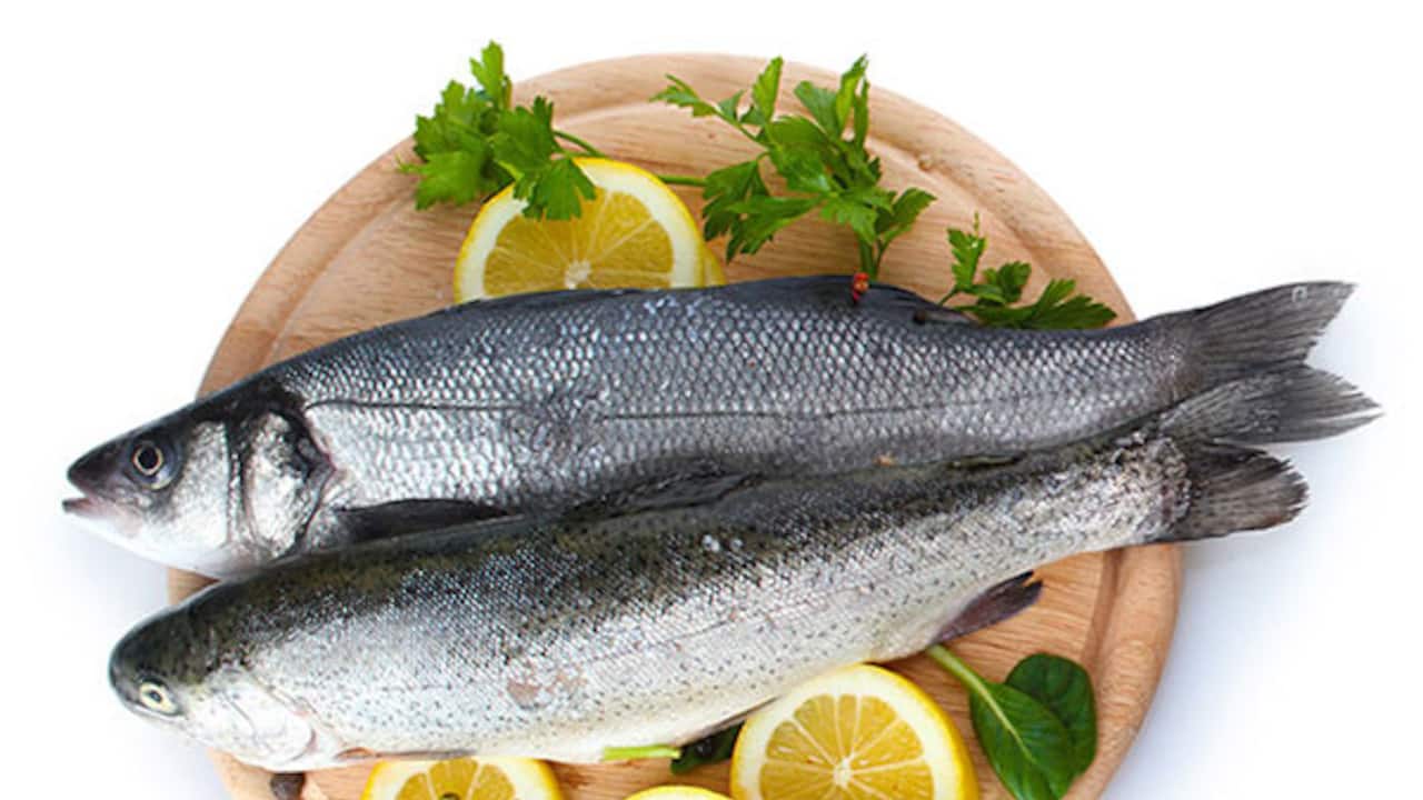 Rapid detection kit to check the freshness, chemicals in the fish in 3 minutes
