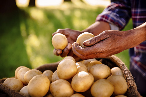 know what happen to the body will be if you stop eating potatoes for a month in tamil mks