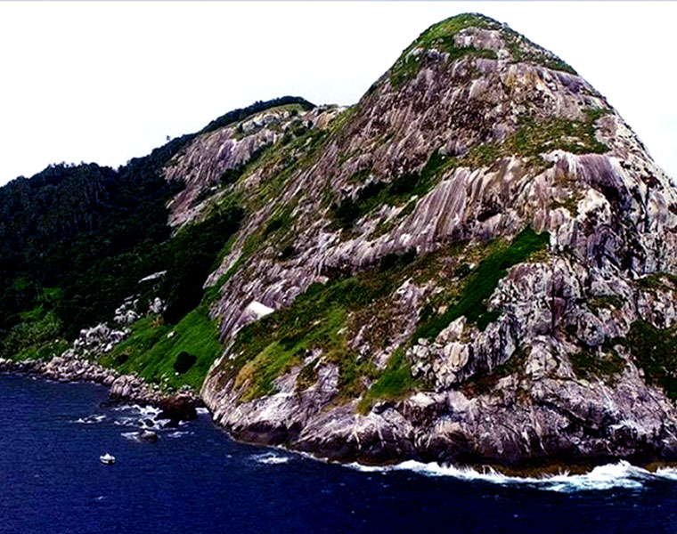 Snake island in Brazil