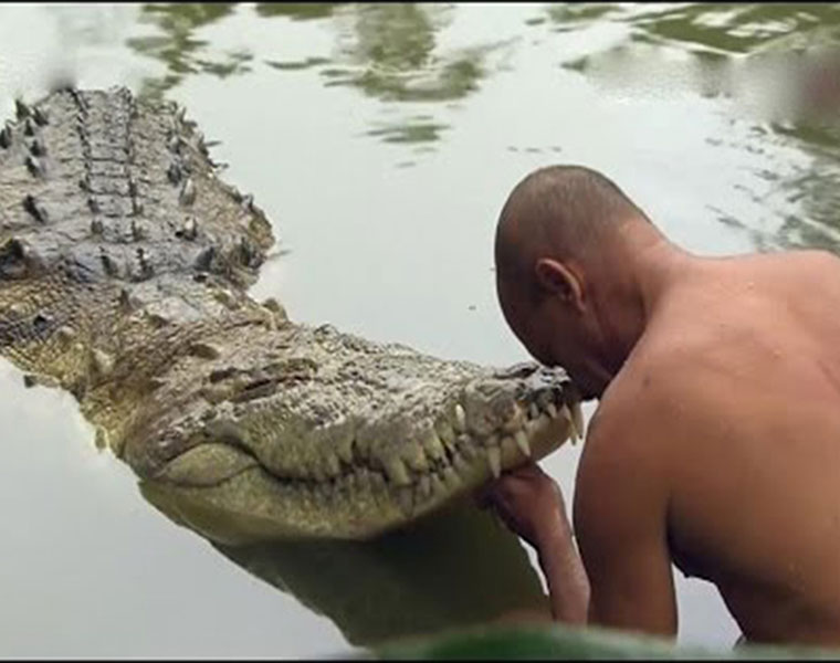 Miraculous incident in Ananta Padmanabha Swamy temple, Another crocodile seen in the lake At Kerala Temple  - bsb