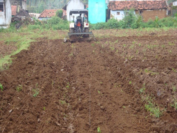 Vermicompost has five levels of preparation. Help you know ...