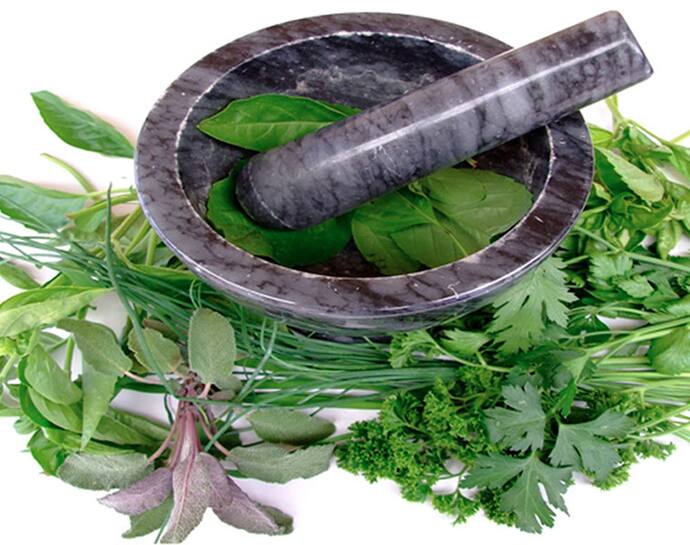 ayurvedic herbs