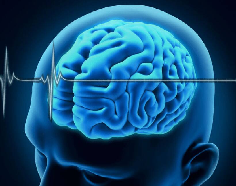 Brain death determination to be made compulsory in Kerala to promote organ transplantation