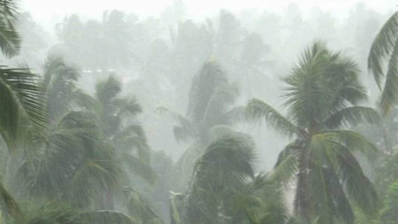 बारिश ने ली उत्तर भारत में 11 लोगों की जान, पंजाब से लेकर हिमाचल तक हुआ ‘अलर्ट’