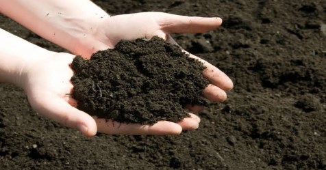 With these ways you can increase than soil wealth