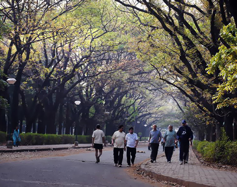 Entry prohibited to Cubbon Park due to CoronaVirus fear