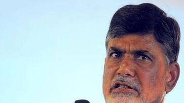 No Confidence Motion: PM displayed arrogance of power and indulged in cheap talk, says Chandrababu Naidu