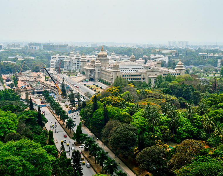 Bengaluru lost almost 18000 trees in last decade