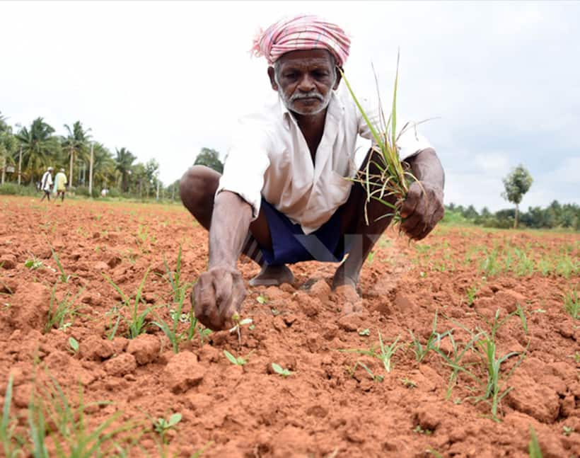 Chandrababu Naidu finds it difficult to waive farmer loans