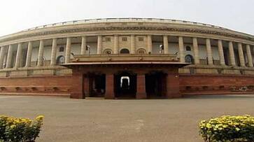 Jan Adhikar Party member Rajesh Ranjan creates ruckus in Lok Sabha, hurls papers at treasury benches