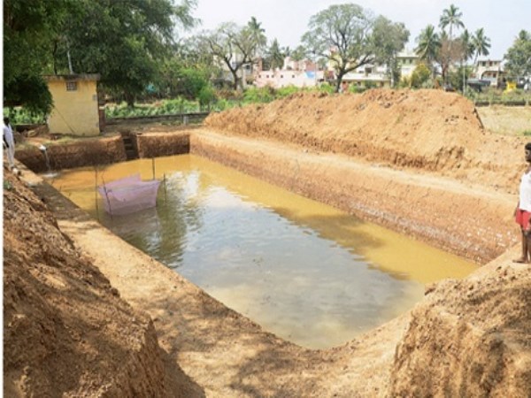 How to prepare the ponds when growing fish in fresh water?