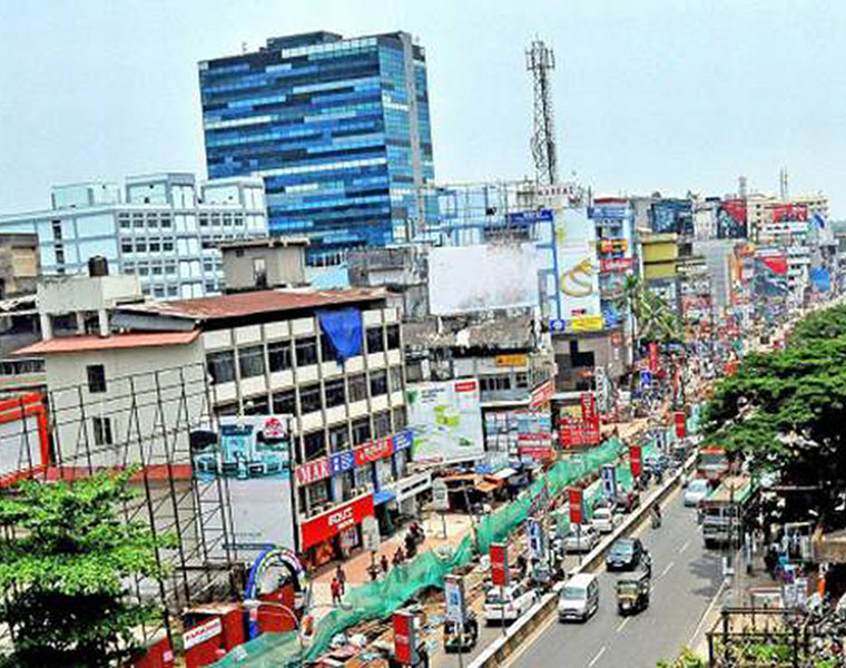 wild boar enter in Kozhikode town prm