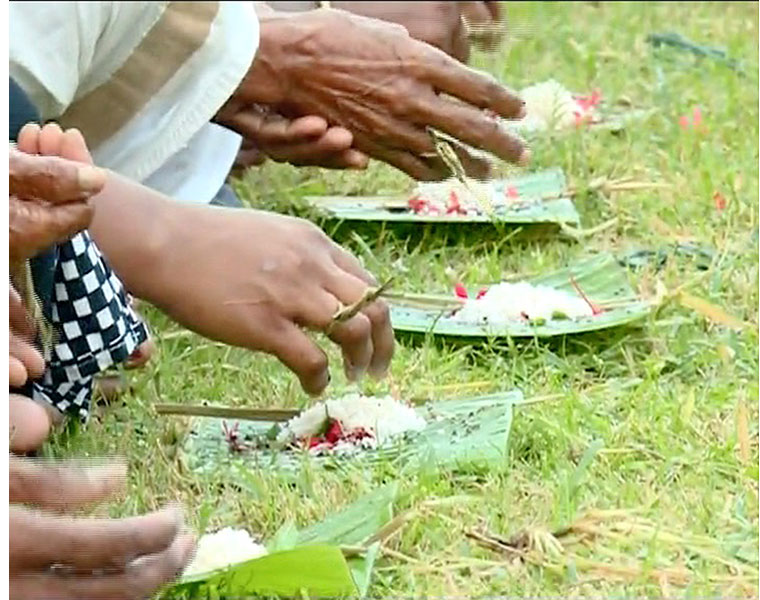 no bali tharpanam on karkidaka vavu in devaswom board temples