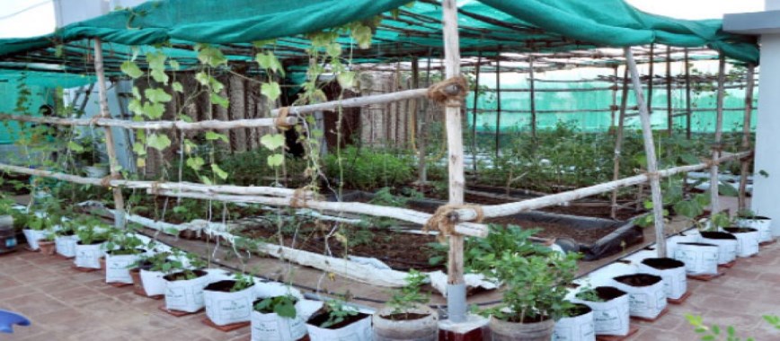 turn matiyaiye-integrated-farming-gardening