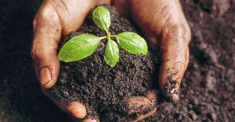  eight ways to increase energy of soil