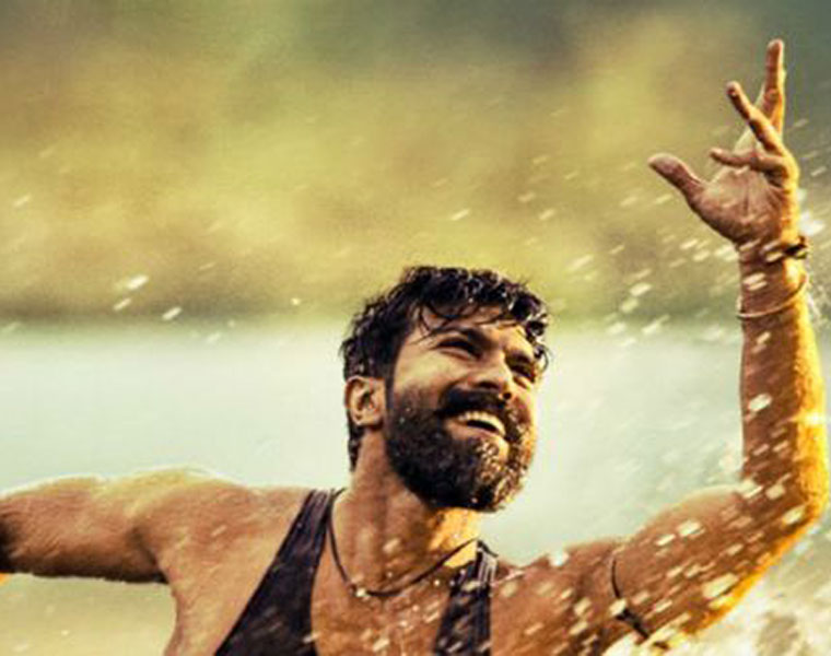 Rangasthalam still bringing good revenues