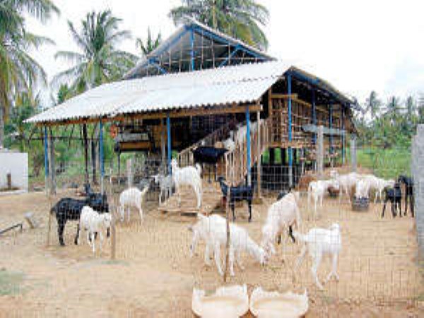 Make it easy to set up the kennel as it is suitable for goats ...