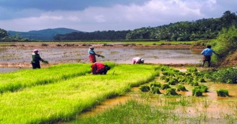 Increase agricultural productivity and farmers income