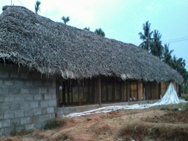 The importance and structure of chicken sheds ...