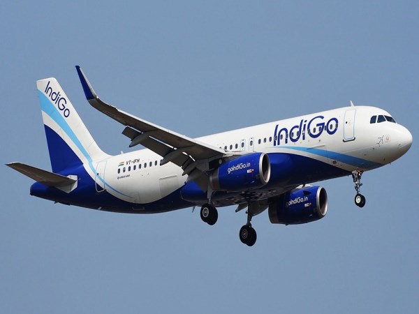 IndiGo AAI get 1.35-lakh sting over mosquitoes in plane