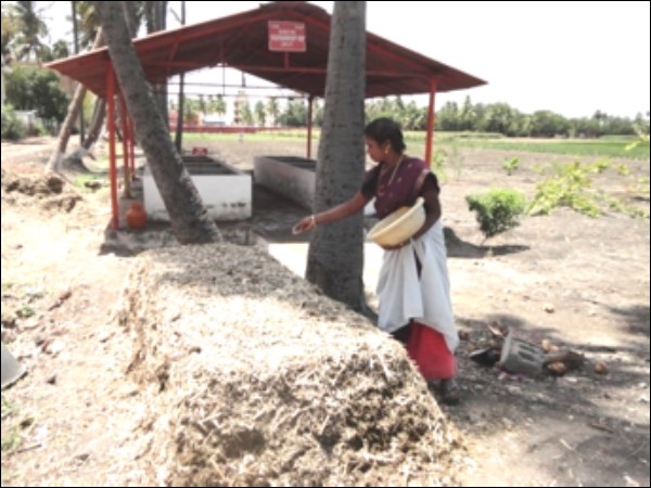 How to use vermicompost You can read this ...