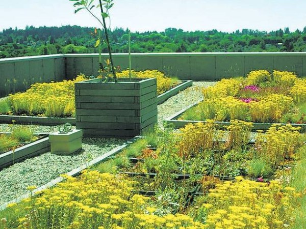 Is this a roof garden? Help you to know ...