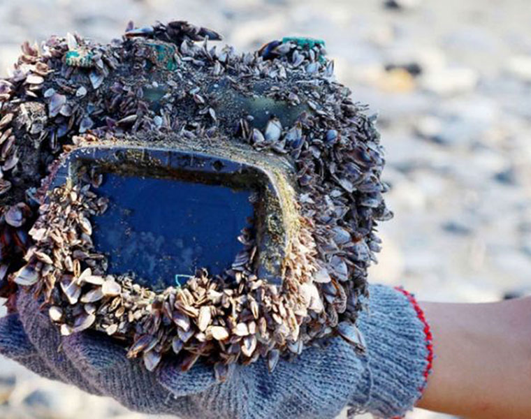 Camera lost at sea is found still working after two years