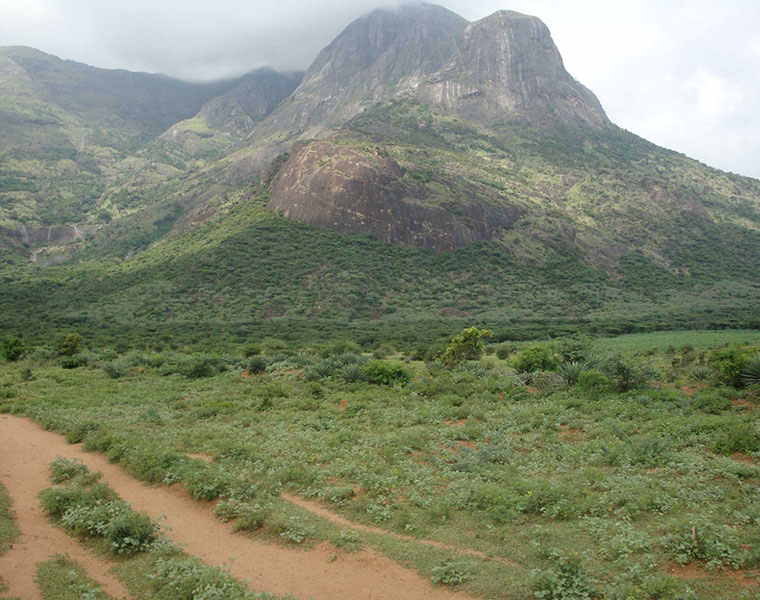 Save Theni from India-based Neutrino Observatory: Residents fight controversial project in Tamil Nadu