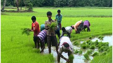 Modi government will grant relief to farmers