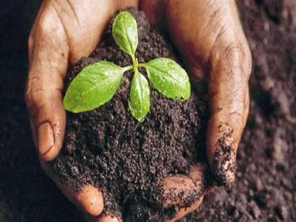 What kind of soil will produce any crops? Read this to read ...